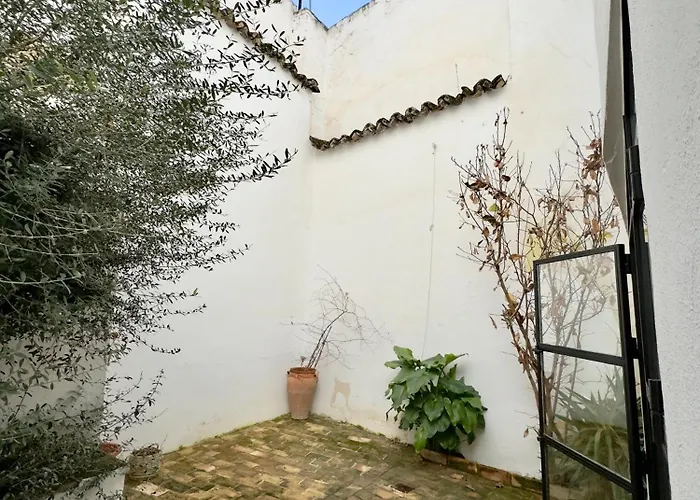 Ds Palacio De La Luna