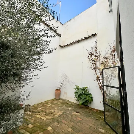 Ds Palacio De La Luna